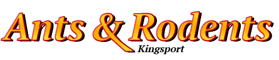 Kingsport Ant Exterminator & Rodent Control Company Logo